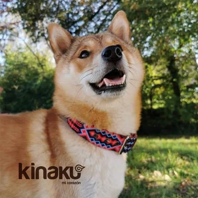 Hundeleine Akumal L/XL